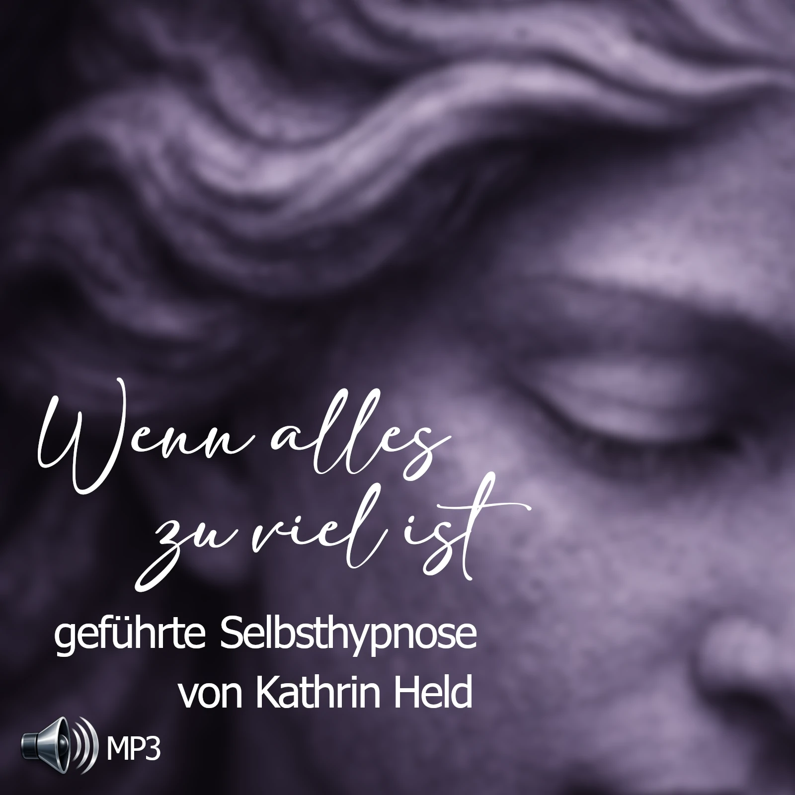 Cover Wenn alles zu viel ist